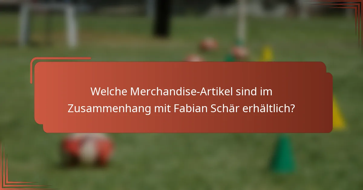 Welche Merchandise-Artikel sind im Zusammenhang mit Fabian Schär erhältlich?