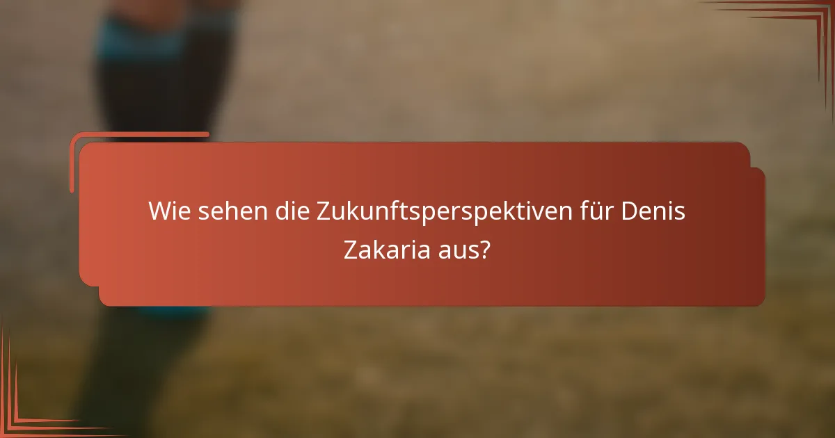 Wie sehen die Zukunftsperspektiven für Denis Zakaria aus?